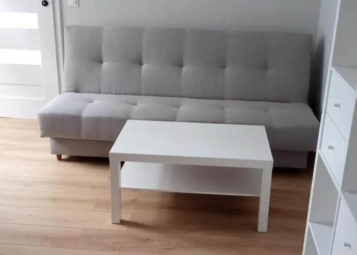 Апартаменты Plebiscytowa 32 *